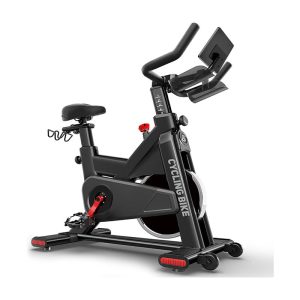 Pooboo D810 Stationary Bike