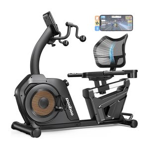 Pooboo W216 Recumbent Exercise Bike
