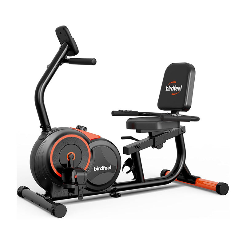Pooboo W259 Recumbent Exercise Bike